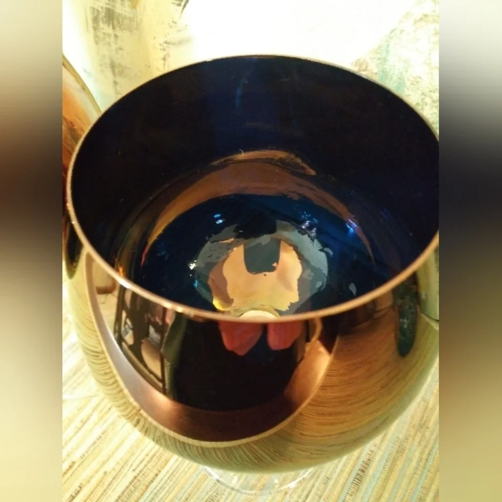 Pier I Copper Glasses Set Of 2